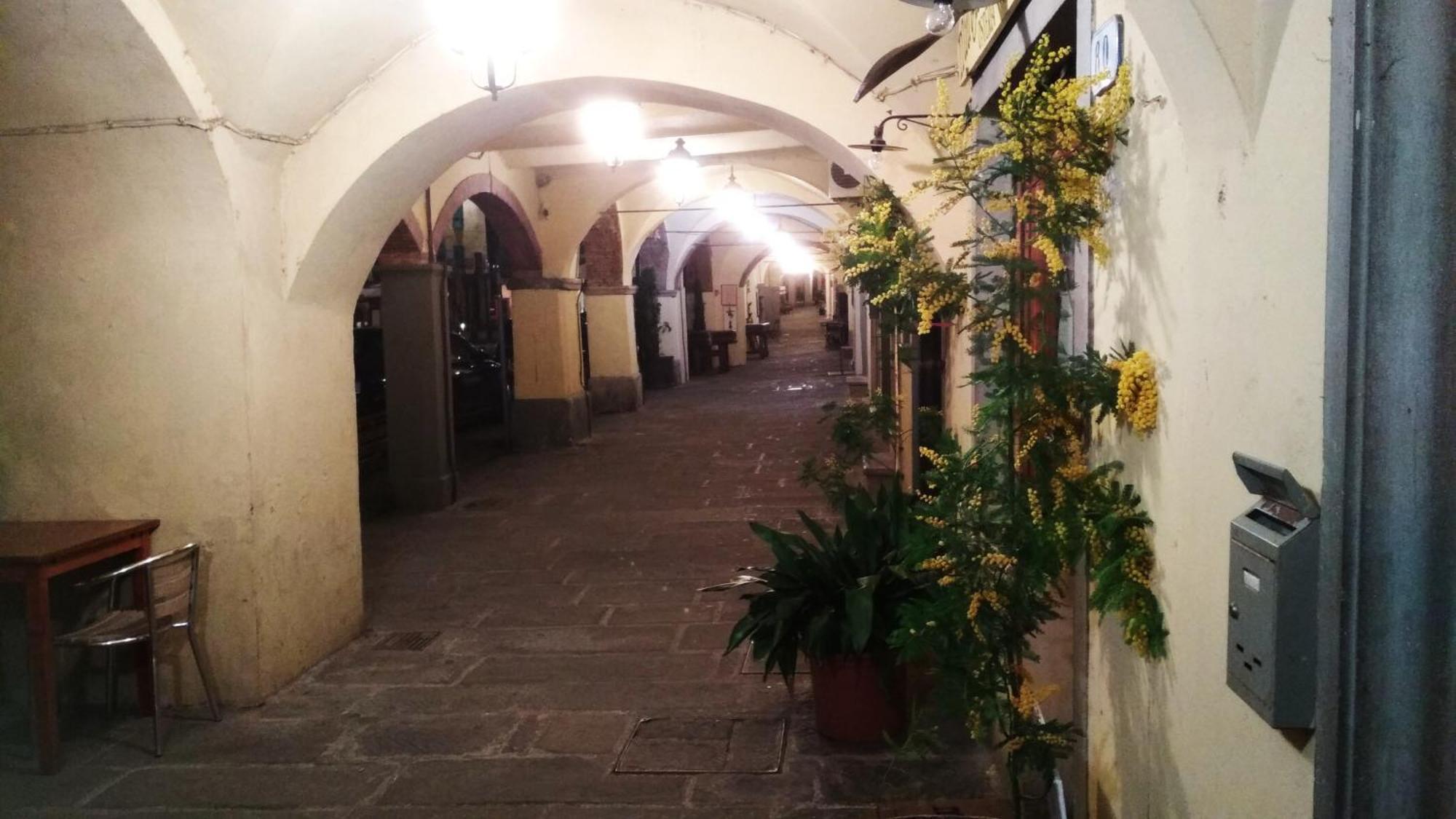 Il Nido Nel Chianti Apartman Greve in Chianti Kültér fotó